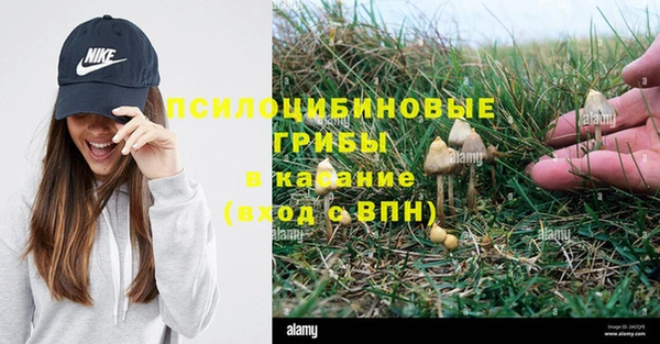 прущие крисы Ельня