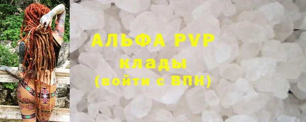 прущие крисы Ельня