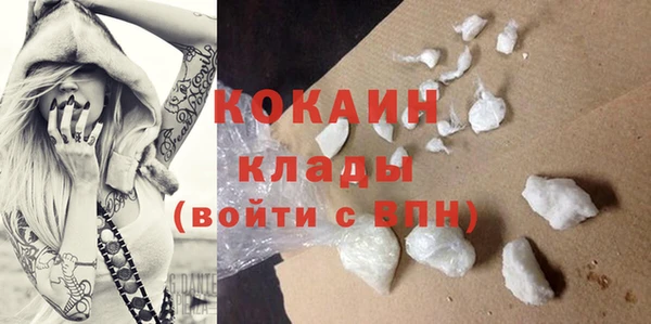 прущие крисы Ельня
