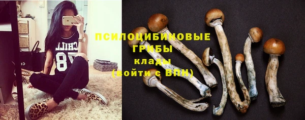 соль курить ск Туринск