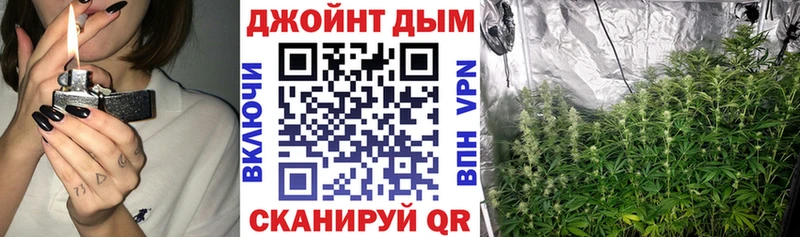 хочу   Тогучин  Шишки марихуана план 